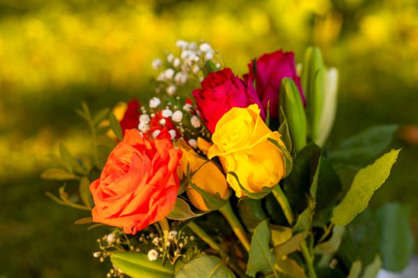 Proposal Flowers