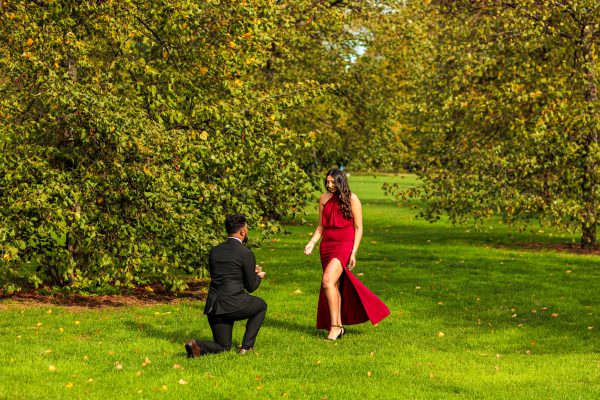 A surprise marriage proposal captured at the exact moment a man drops to one knee on the manicured lawns of Kensington Gardens, London.