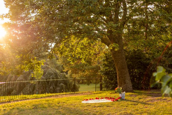 Picnic set up un a tree in Hyde Park for wedding proposal.